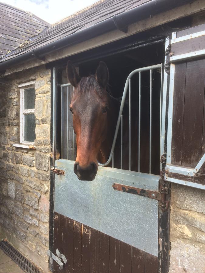 Lime Trees Farm 4* Bicester